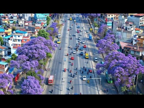 🩵 New Nepali Song-  Timi Kathmandu sahara ma dhuwa dhulo slowed and Reverb तिमी काठमाडौं सहर