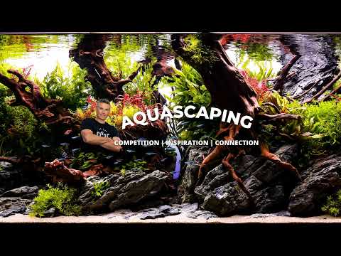 Jeff Miotke Aquascaper Live Stream