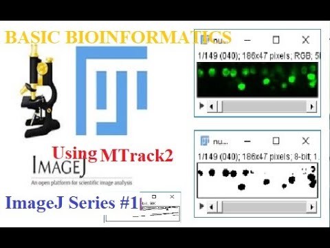 ImageJ - Using MTrack2 Plugin (ImageJ Series #1)