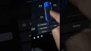 Two Ways To Check Tire Pressure on a Tesla #teslatips #tesla #tirepressure