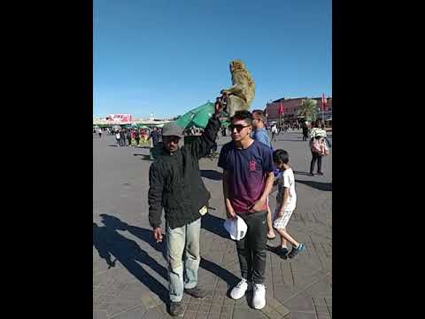 Marakesh Morroco Visit Lovely Weather and Tasty Food in Marakesh Square #Morroco #travel #marakesh