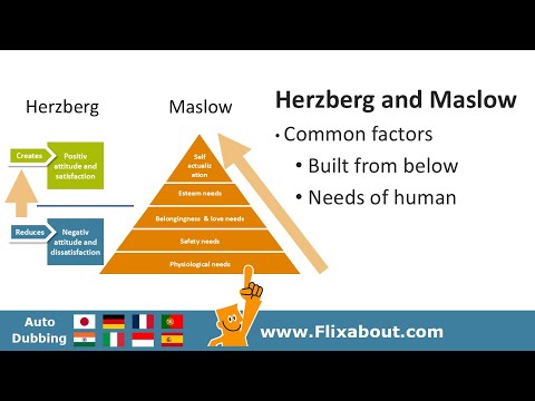 Maslow's hierarchy of needs and Herzberg's two factors theories