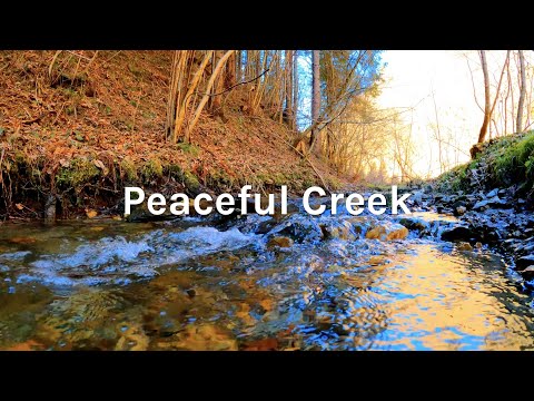 Running Water in a Creek