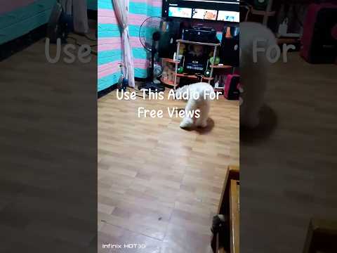 Edit: Only You Can Comment on this video