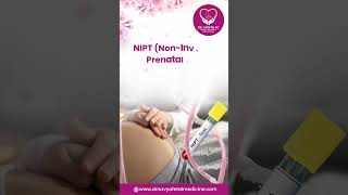 NT Scan vs. Double Marker vs. NIPT – Which Prenatal Test Do You Need? | Dr Navya KC | Fetal Medicine