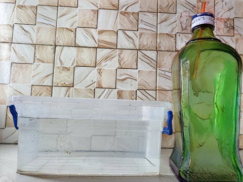 Top Experimental Hacks with Water #diy #craft #5minutecrafts #craftideas #water #fun