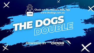 The Dogs Double - 13.11.23