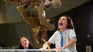 The Smartest Fun You'll Ever Have | Natural History Museum of Utah