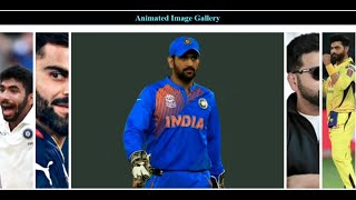 Stop Boring Image Galleries! Make Them Shine with Animations (HTML & CSS)  | Codingsai