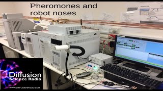 Pheromones and robot noses