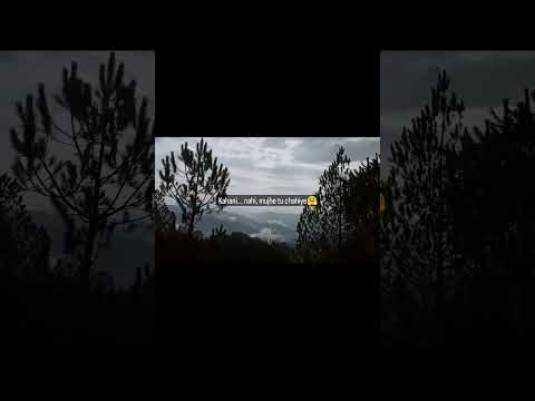 #trending #shorts #shortvideo #views #love