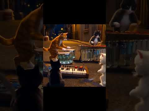 Meow sical Band #viralcats #funnycats #lazycatday #mustwatch
