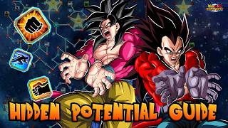 How to Build Hidden Potential for LR INT SSJ4 Vegeta + SSJ4 Goku [Dokkan Battle]