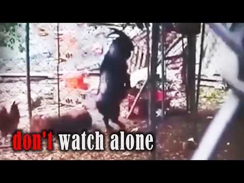 The Creepiest Things Caught on Camera That NO ONE Can Explain