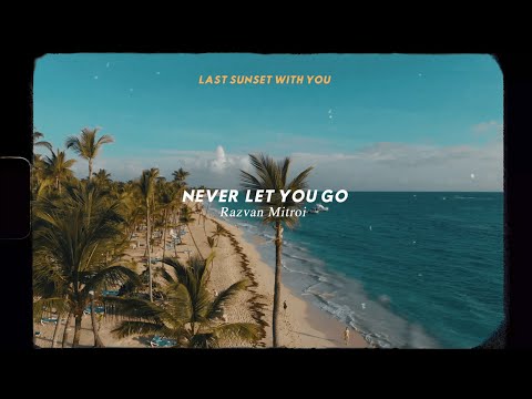 Razvan Mitroi - Never Let You Go (Official Audio)