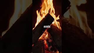 Improve Your Android Phone Performance: Boost Speed with This Quick Trick | TechBytes