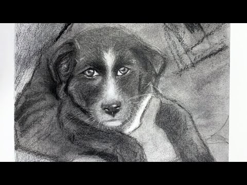 Modern Charcoal Art || Where is the LOVE? || Charcoal Speed Drawing Time lapse