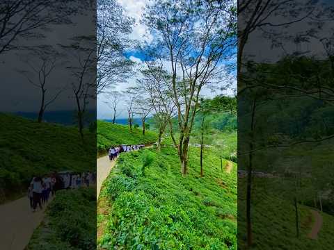travel srilanka❤️😍😍 sandagiri seeya kandy hanthana 😍😍#nature #srilanka