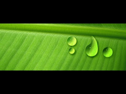 Create water drop/create water drop in photoshop/ Fix The Retouch