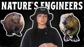 How Beavers Became So Sick | Lindsay Nikole