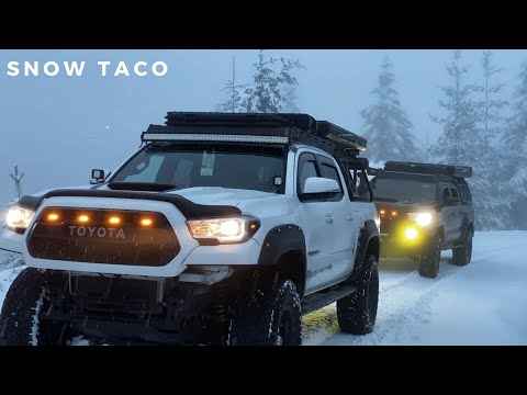Snow Taco