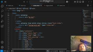 html and JavaScript CSS interactive website