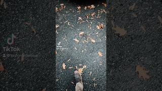 😮‍💨…#350z #nissan #cars #carlover #careditcapcut #viralshorts #viraledit #startayoutubechannel