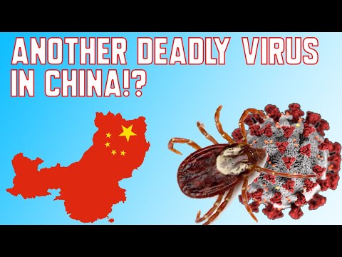 Another Deadly Virus in China!? | Novel Bunyavirus