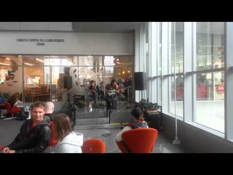 The Trees at IUPUI