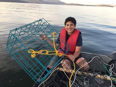 Setting Dungeness crab pots with Ari