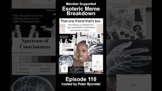 Esoteric Meme Breakdown Episode 110: that one friend that's way too into inherent subjectivity