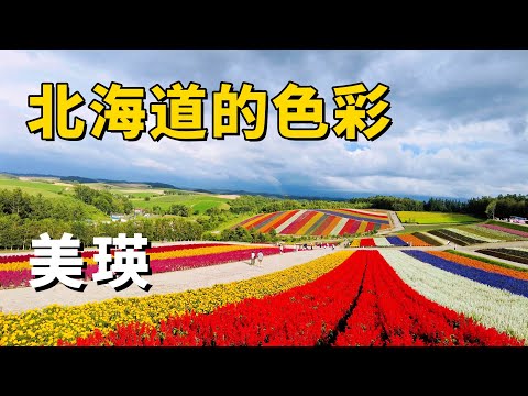 美瑛｜北海道的色彩世界｜超級出片的四季彩之丘｜白金青池 #北海道