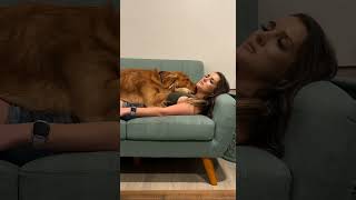 When a Dog Loves You This Much 🐾 #dog #doglove #doglife #doginstagram #doggie #dogowner #dogplay