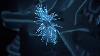 SILENT TRANSFORMATION