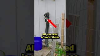 How to Easily Install a Drip Irrigation System for Raised Beds