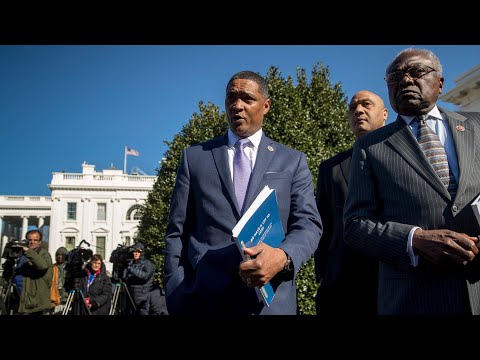 Lies The Congressional Black Caucus Keep Pushing As Truth #Shorts