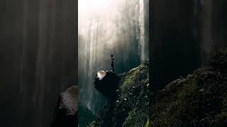 Nature and music 😻 #umarkeyn #music #bestdeephouse #deephouse #chillhouse #melodicdeep #dndm #song