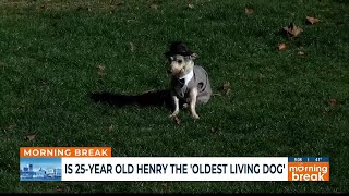 Oldest Living Dog?
