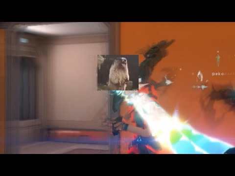 イモータル2からアセンダント2におちたカスによるhighlight