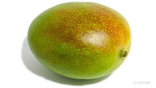 Mango Time-lapse