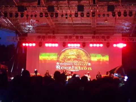 Stephen Marley -- Lively Up Yourself
