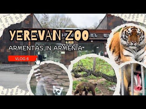 What you can see in Yerevan Zoo???