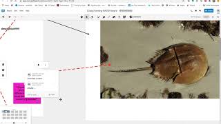 Concept Board APP Demo