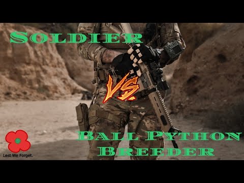 From Soldier to Ball Python Breeder