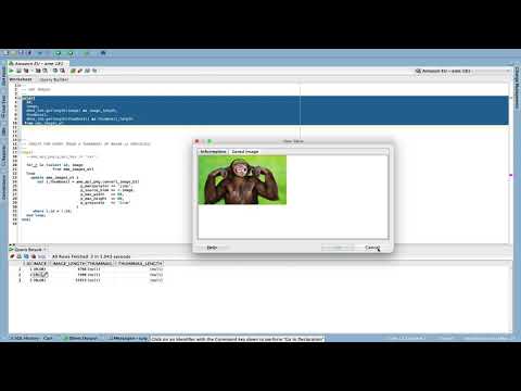 APEX Media Extension (AME): create greyscale thumbnails in PL/SQL