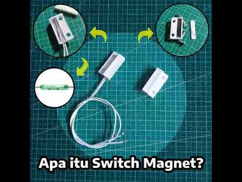 Apa itu Switch Magnet ? Reed Switch ? Sensor Magnet ?