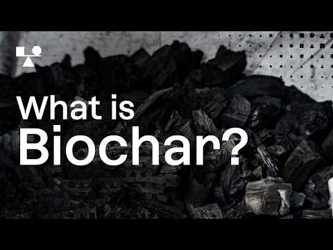Biochar: Explained