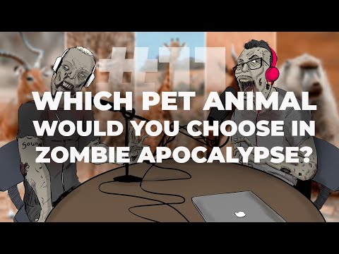 #11 Which PET ANIMAL would you choose in Zombie Apocalypse ?