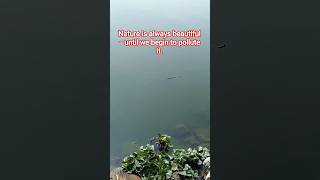 water snake...#shorts#viralshortsonyoutube #snakes #beautiful #trendingshorts #viral #usa #usashorts