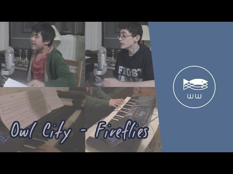 Fireflies - Adam And The Salmon Cover (Owl City)